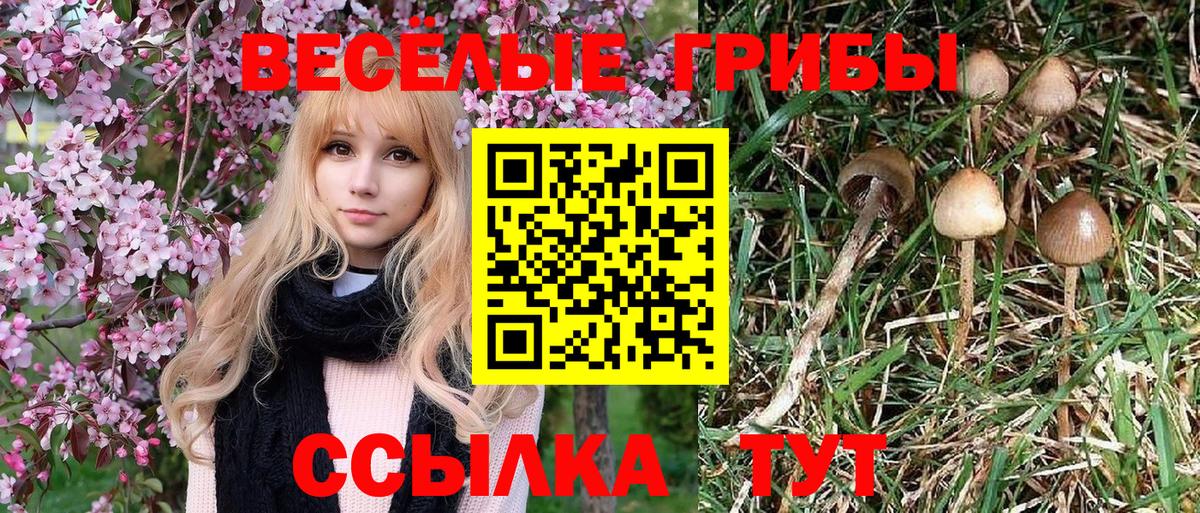 Псилоцибиновые грибы мухоморы  Вход с VPN  Галлюциногенные грибы Psilocybine cubensis  Балахна 